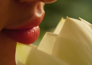 Grünlippmuschel für den Menschen