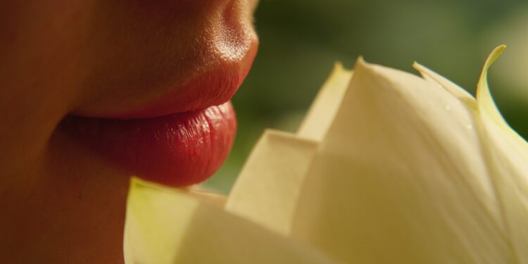 Grünlippmuschel für den Menschen