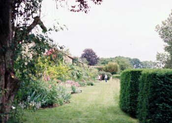 kinderfreundliche Gartengestaltung