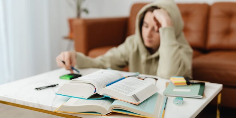Online-Nachhilfe: flexibel lernen von zu Hause